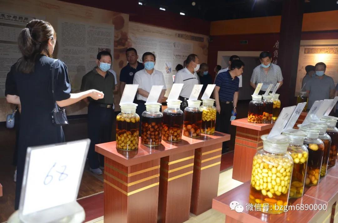 德州市派乐陵“四进”工作组到金年会（金字招牌,信誉至上）旗下百枣纲目（集团）调研