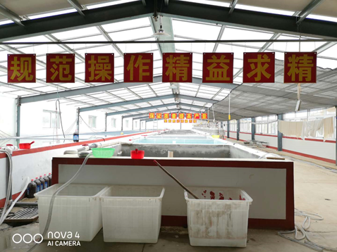 清洋湖:绿色产业发展与红色文化传承有效融合 清洋湖:绿色产业发展与红色文化传承有效融合