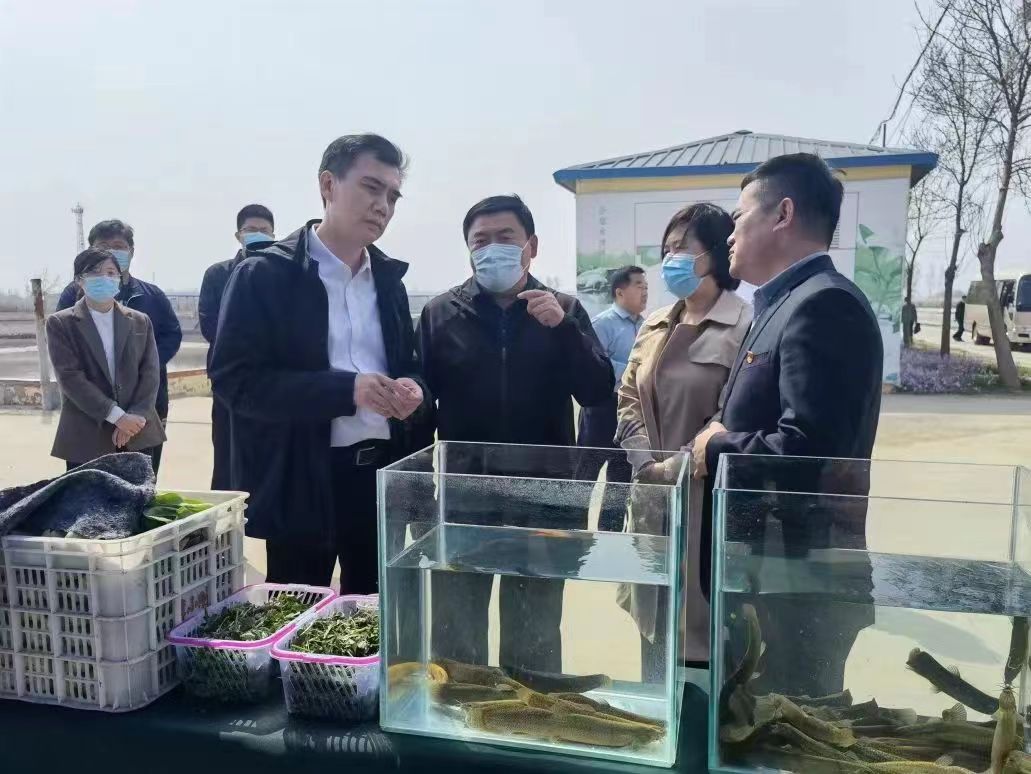 乐陵市委书记王晓勇一行莅临金年会（金字招牌,信誉至上）旗下清洋湖公司参观考察